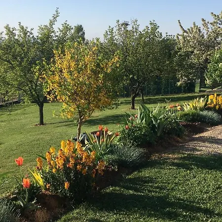 Appartamento Hevizquelle Hévíz